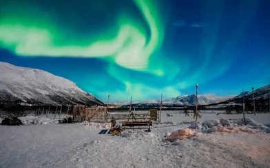 Northern Lights over snowy landscape in Tromso with reindeer and Sami cultural elements.