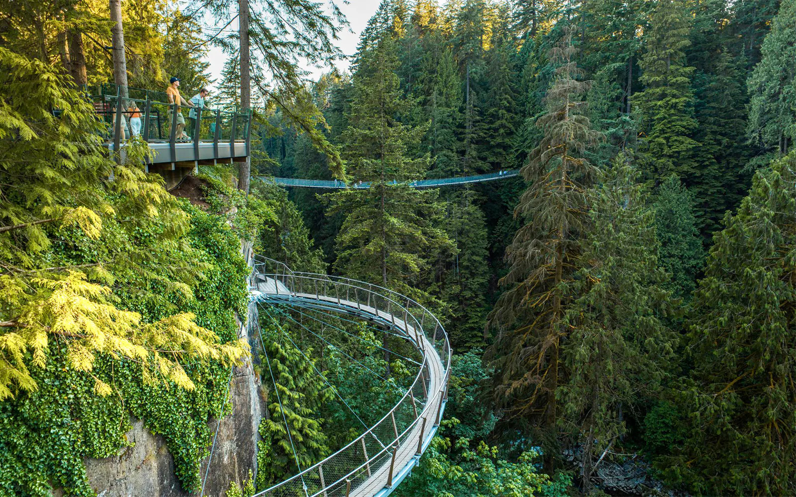 View of the treetop walkway and suspension bridge at Capilano Suspension Bridge Park, Vancouver.
