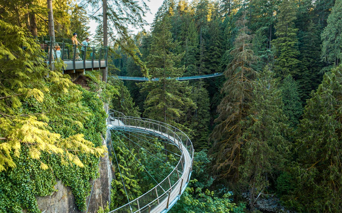 View of the treetop walkway and suspension bridge at Capilano Suspension Bridge Park, Vancouver.