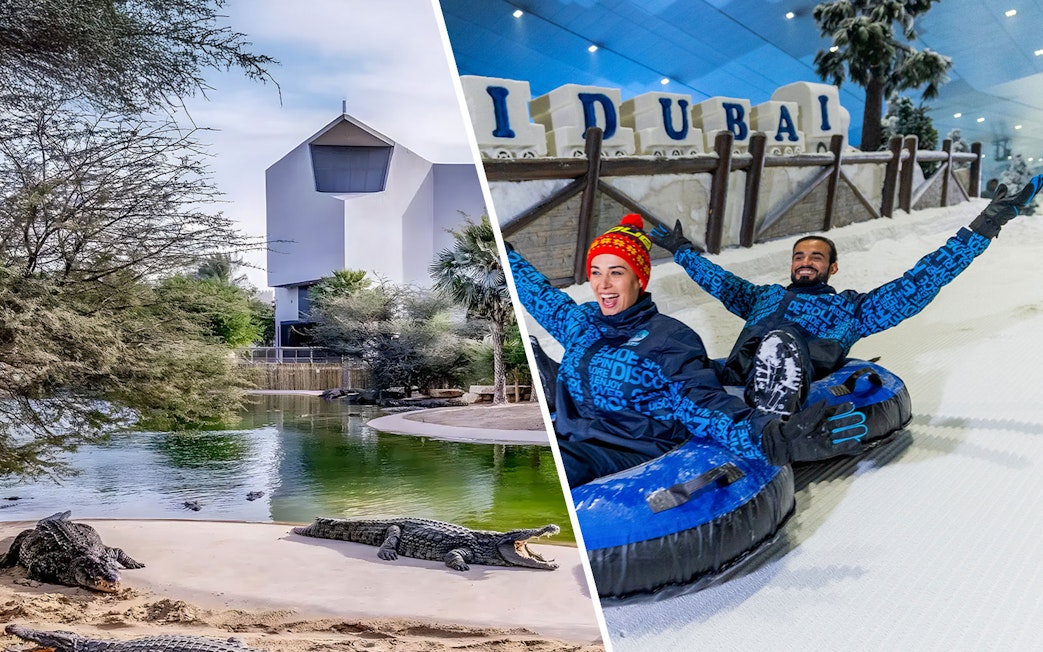Dubai wildlife sanctuary with crocodiles and indoor snow park with people tubing.