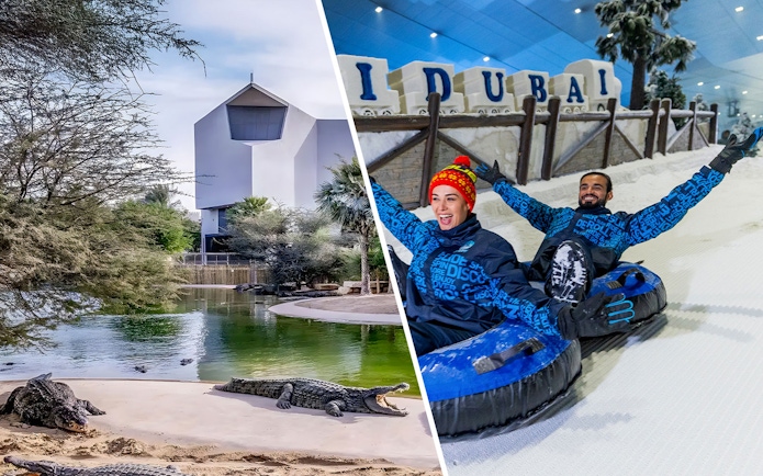 Dubai wildlife sanctuary with crocodiles and indoor snow park with people tubing.
