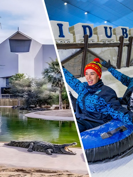 Dubai wildlife sanctuary with crocodiles and indoor snow park with people tubing.