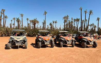 Buggies lined up in Marrakech's Palm Oasis for a 1000cc tour adventure.