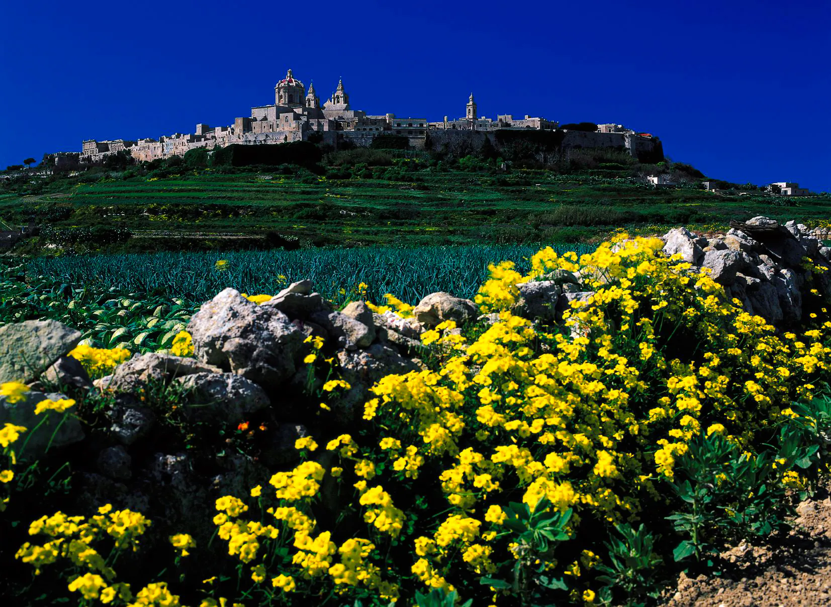 Malta Private Tour with Licensed Guide and Transport