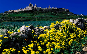 malta private tour with licensed guide and transport-1