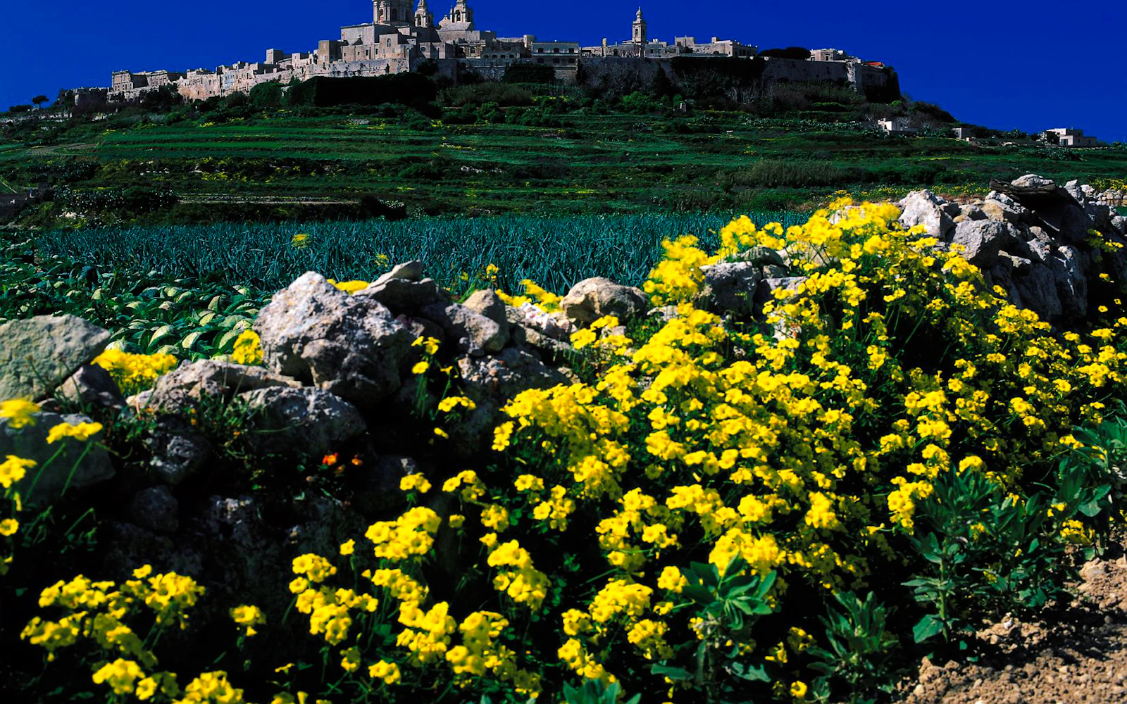 Malta Private Tour with Licensed Guide and Transport