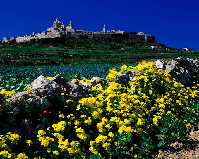 Malta Private Tour with Licensed Guide and Transport