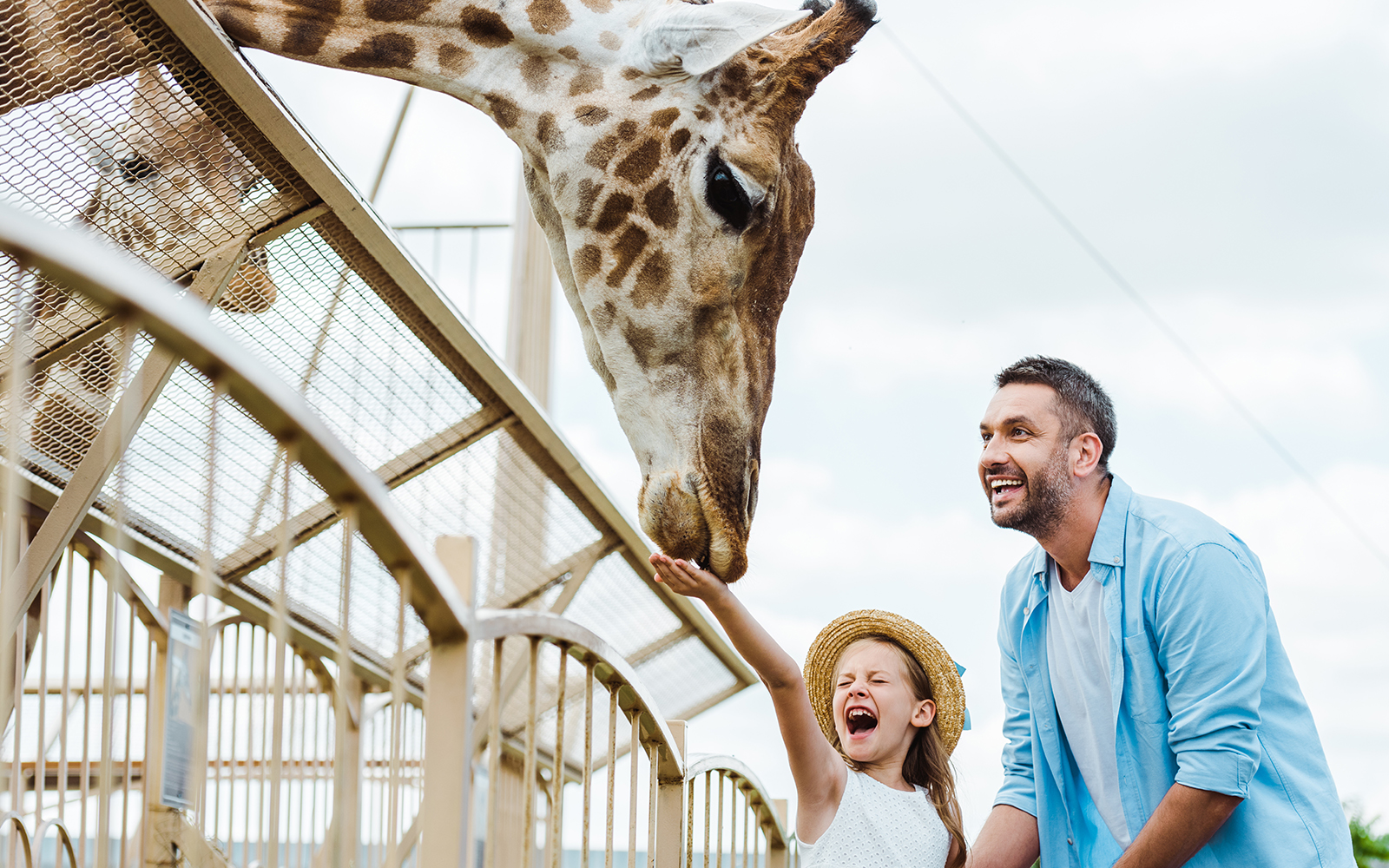 Animal Feedings and Keeper Talks
