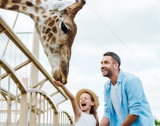 Bioparc Valencia opening hours