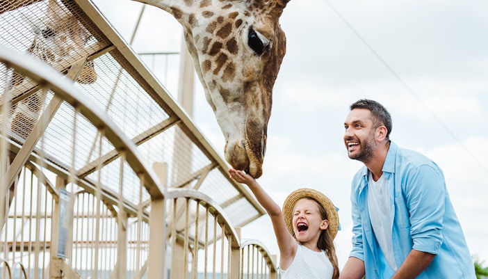 Animal Feedings and Keeper Talks