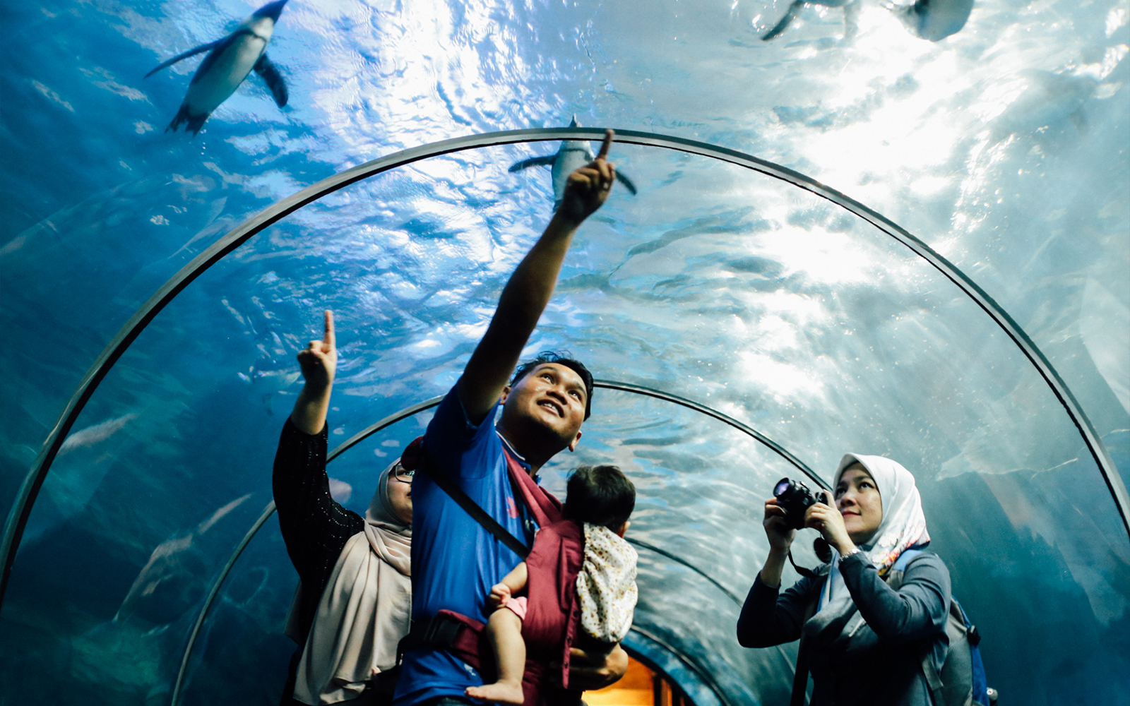 Tunnel Tank in Langkawi Underwater World