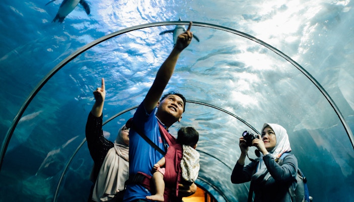 Tunnel Tank in Langkawi Underwater World