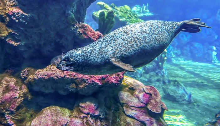 Exhibits