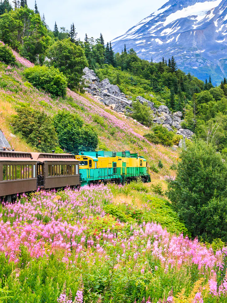 Alaska Railroad