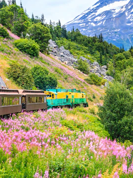 Train on White Pass & Yukon Route Railroad in Skagway, Alaska, surrounded by wildflowers and mountains.