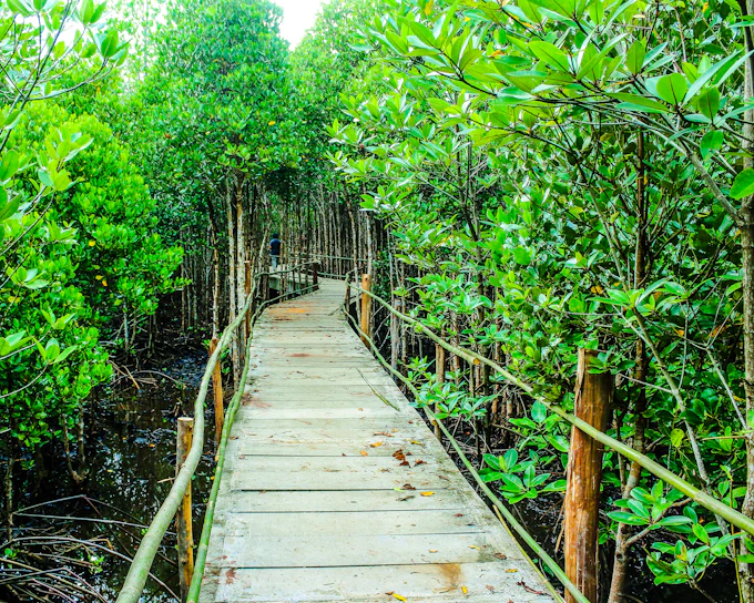 From Zanzibar: Jozani Forest and Spice Farm Tour (Product 55665)