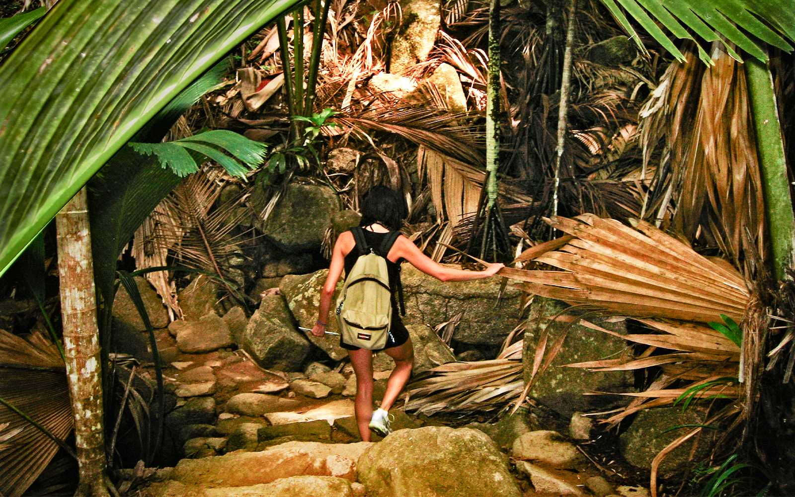Girl hiking through dense jungle with backpack.