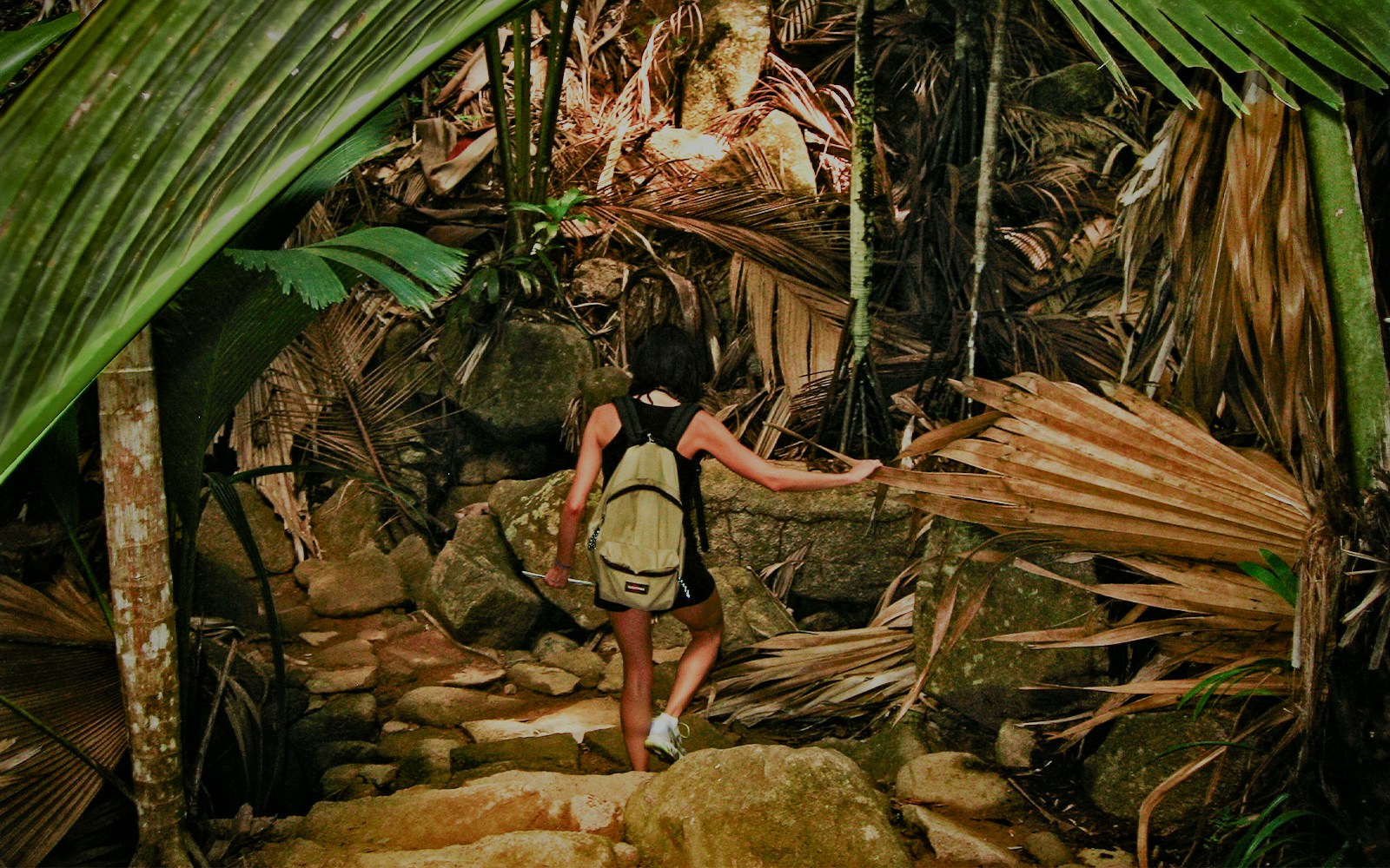 Girl hiking through dense jungle with backpack.