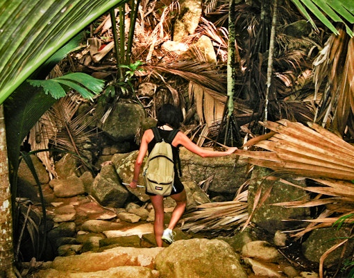 Girl hiking through dense jungle with backpack.