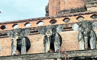Wat Chedi Luang Small-Group Guided Tour with Buddhist Monk Chat