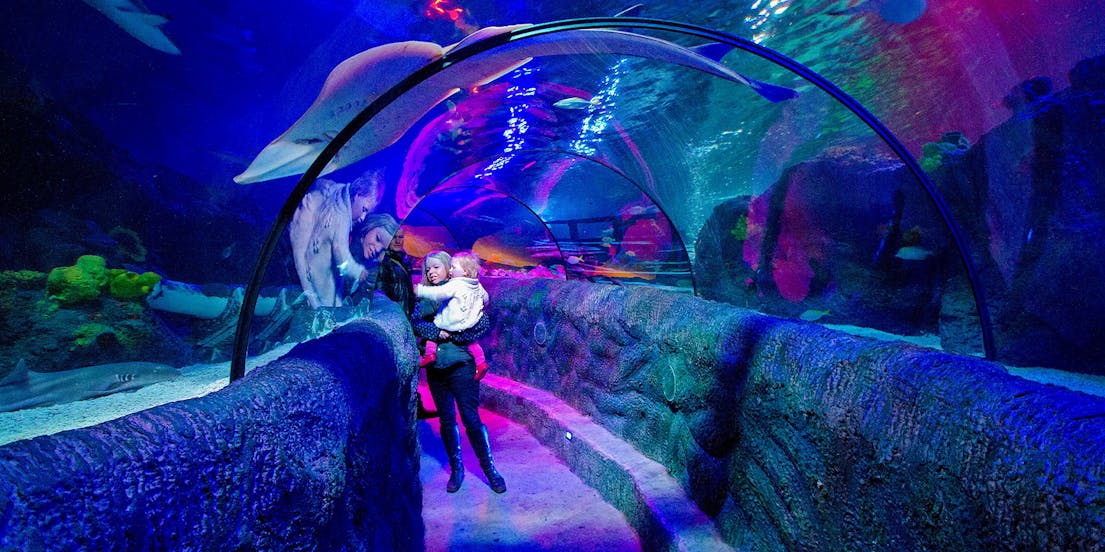 SEA LIFE Loch Lomond