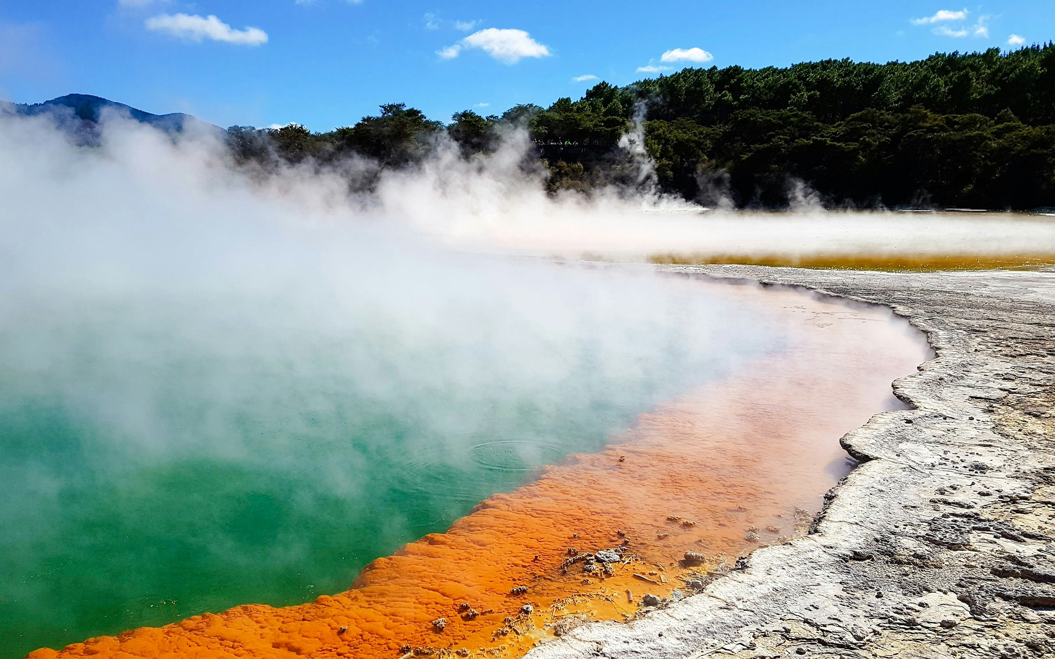 Wai-O-Tapu Thermal Wonderland hot spring with colorful mineral deposits and steam rising.