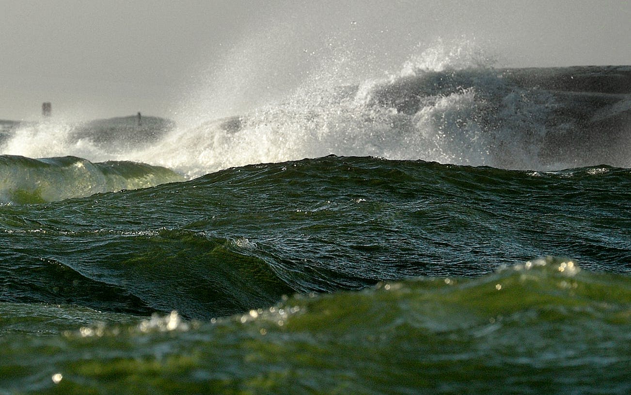 redrib off-shore experience-1