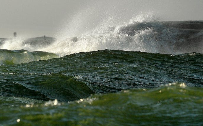 redrib off-shore experience-1