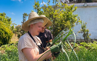 Harvesting onions at an organic farm during Tangier Moroccan cooking class.