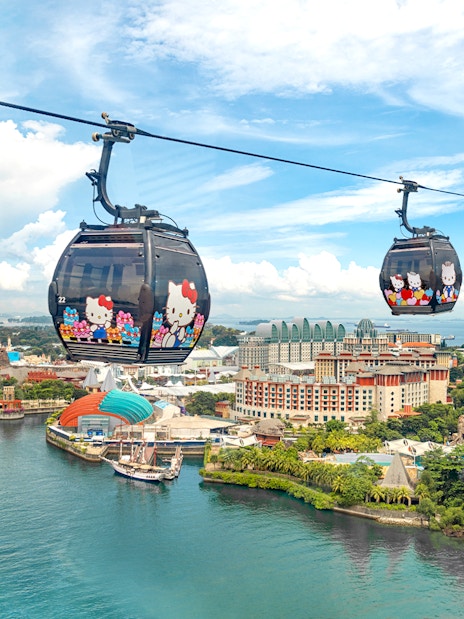 Singapore Cable Car Sky Pass with city skyline views.