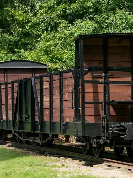 Historic train car at Stutthof Concentration Camp, Poland, surrounded by trees.