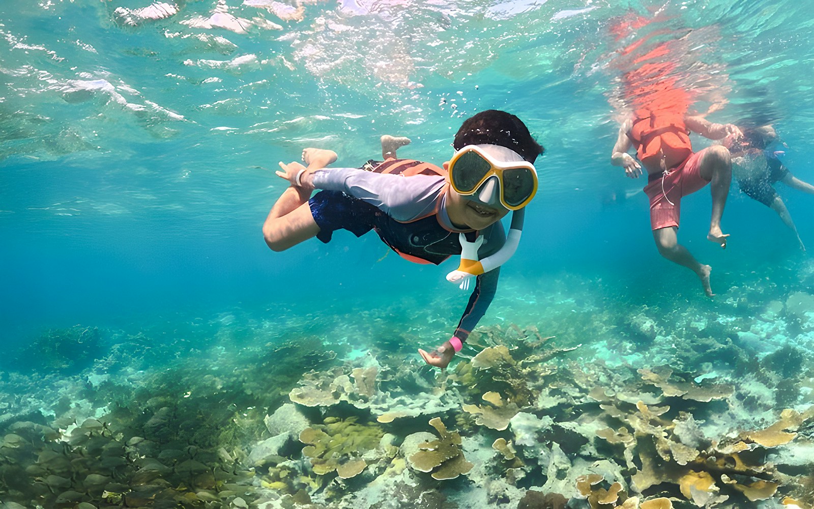 Snorkeler exploring coral reef during catamaran tour from Cancún to Isla Mujeres, Mexico.