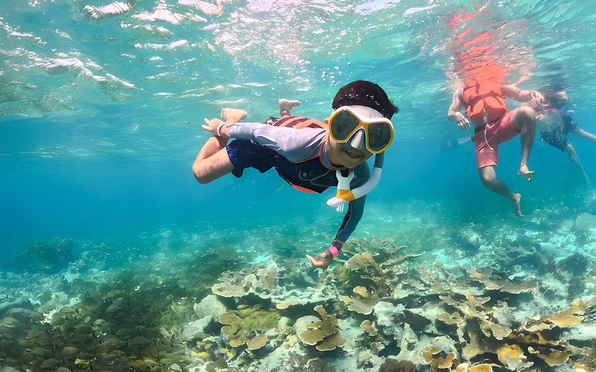 Snorkeler exploring coral reef during catamaran tour from Cancún to Isla Mujeres, Mexico.