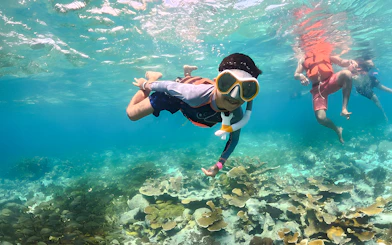 Snorkeler exploring coral reef during catamaran tour from Cancún to Isla Mujeres, Mexico.