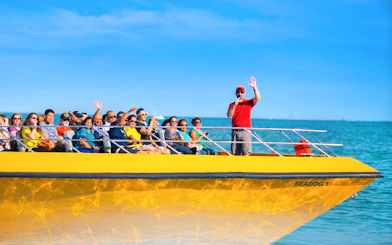 Tourists enjoying Sea Dog Cruise on Lake Michigan, Chicago.