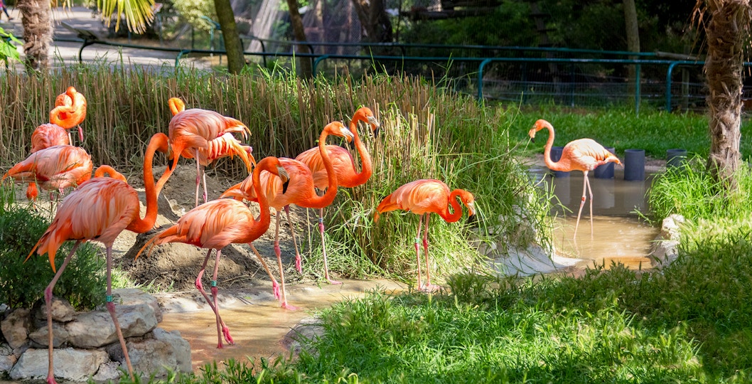Jardim Zoologico