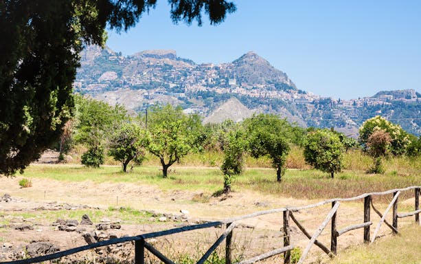 Archaeological site with trees and distant view of Naxos town, Greece.