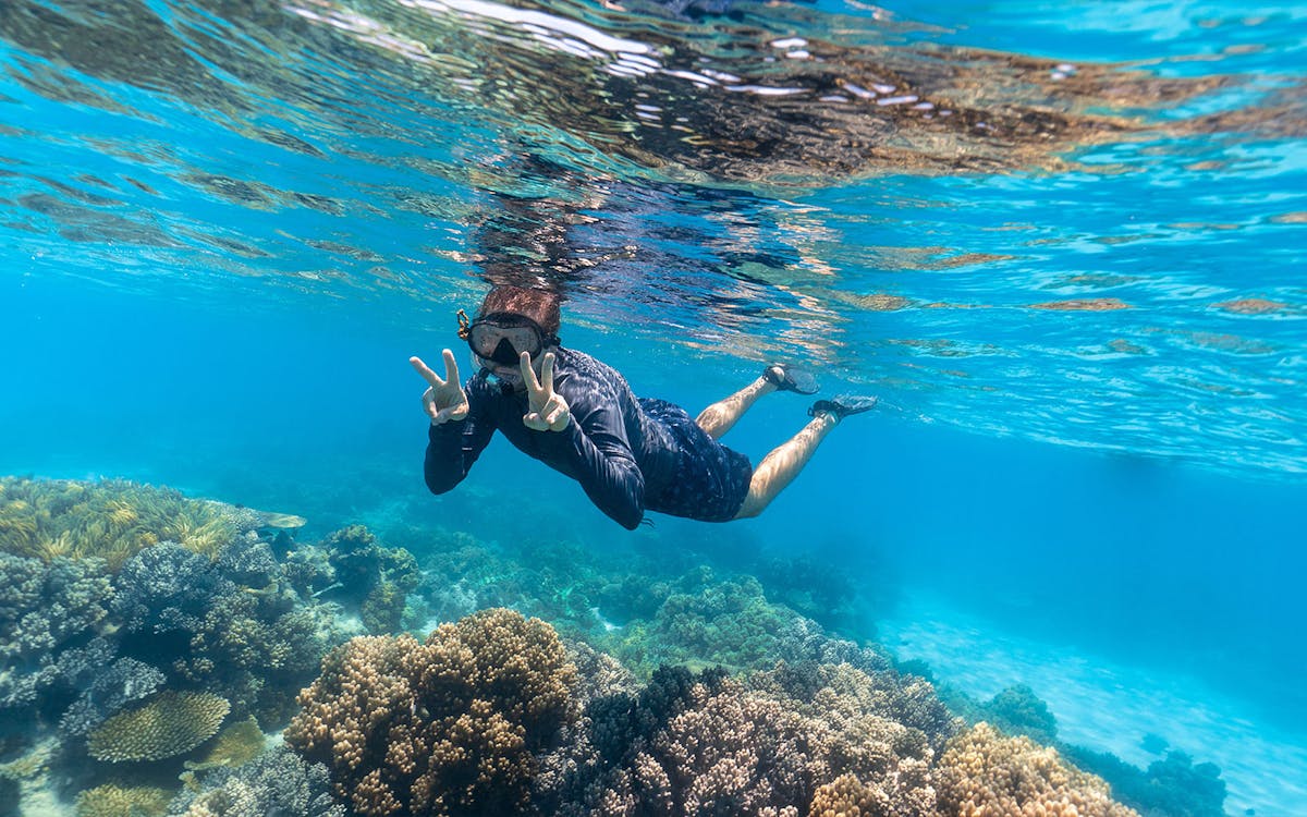 full-day cruise at great barrier reef with lunch-4 full-day cruise at great barrier reef with lunch-4