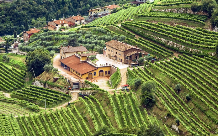 Tuscany vineyard with rustic buildings and lush green terraces.