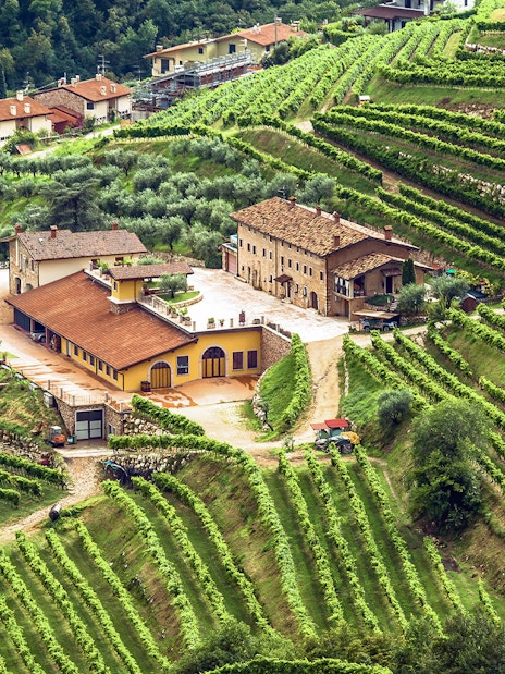 Tuscany vineyard with rustic buildings and lush green terraces.