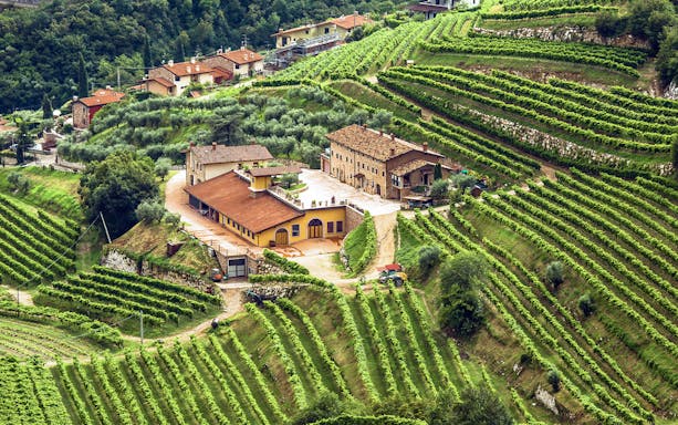 Tuscany vineyard with rustic buildings and lush green terraces.