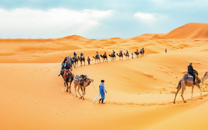 Camel caravan crossing desert dunes during morning safari with sandboarding.