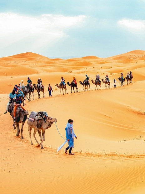 Camel caravan crossing desert dunes during morning safari with sandboarding.