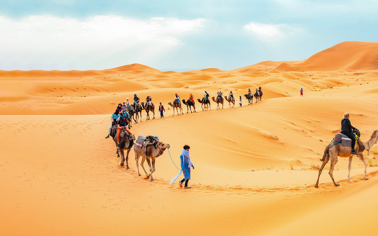 Camel caravan crossing desert dunes during morning safari with sandboarding.