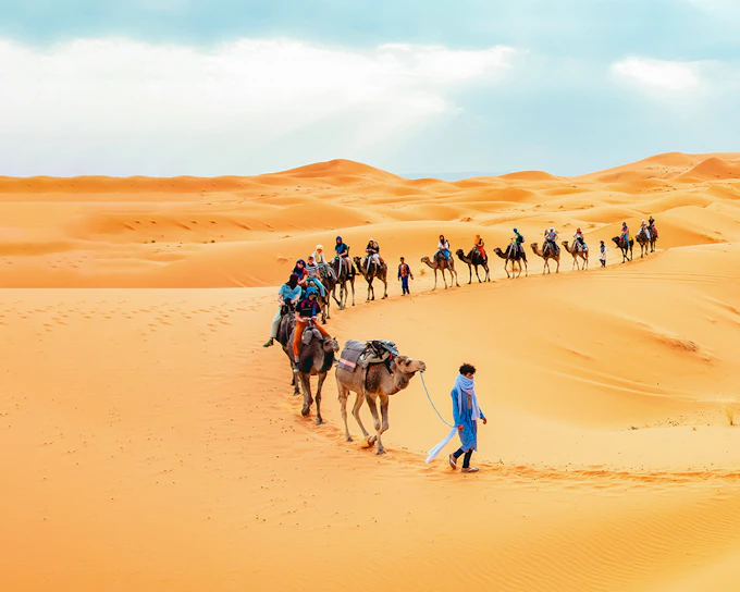 Morning Desert Safari with Camel Farm Visit & Sandboarding