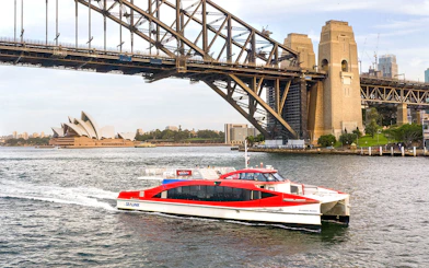 Cruise ship passing under Sydney Harbour Bridge with Opera House in view.