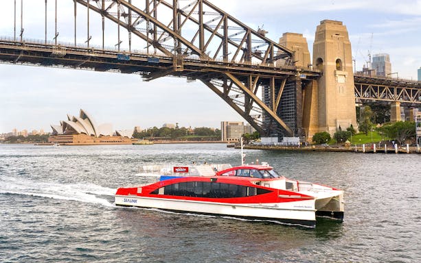 Cruise ship passing under Sydney Harbour Bridge with Opera House in view.