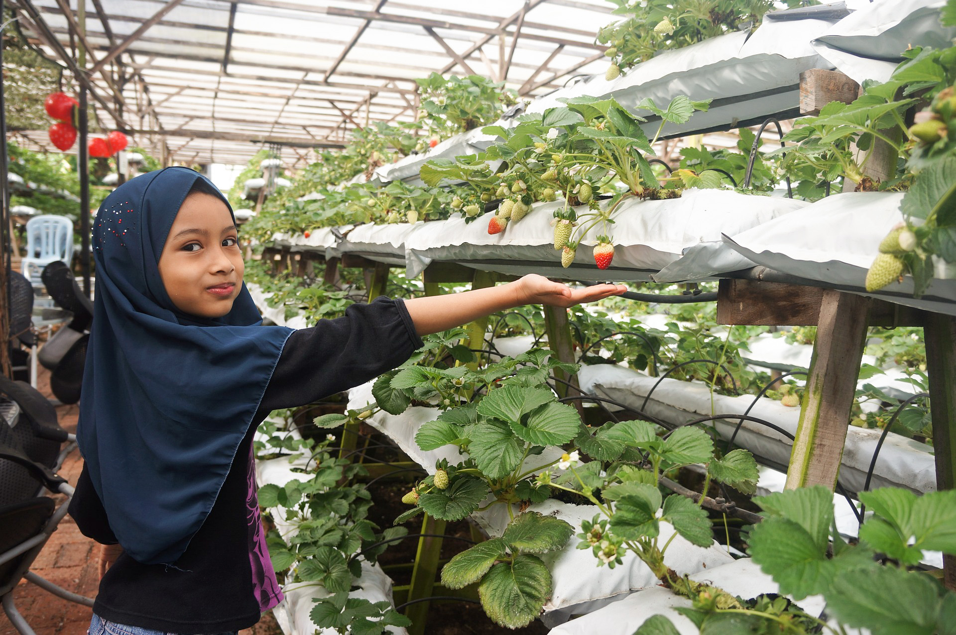 Ingressos para o Farm in the City Malásia: horários