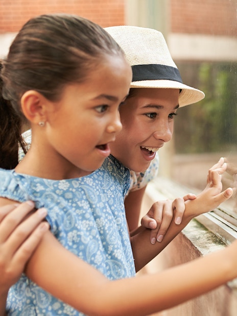 Children observing a snake at Rome Bioparco.