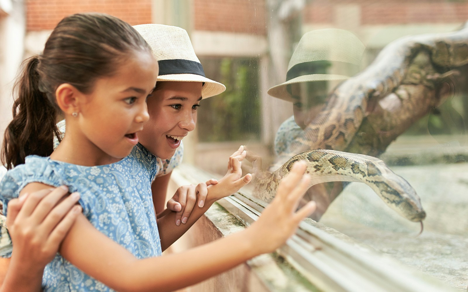 Children observing a snake at Bioparc Valencia.